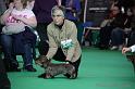 Crufts2011_2 651